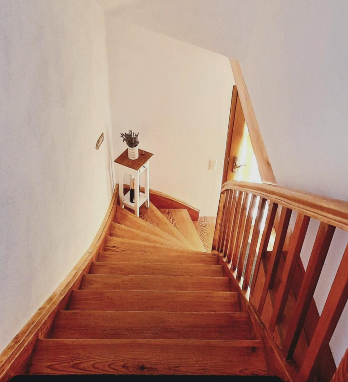 Ferienwohnung Sankt Martin 225 N.N. Екстер'єр фото